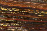 Polished Tiger Iron Stromatolite Slab - Billion Years #317907-1
